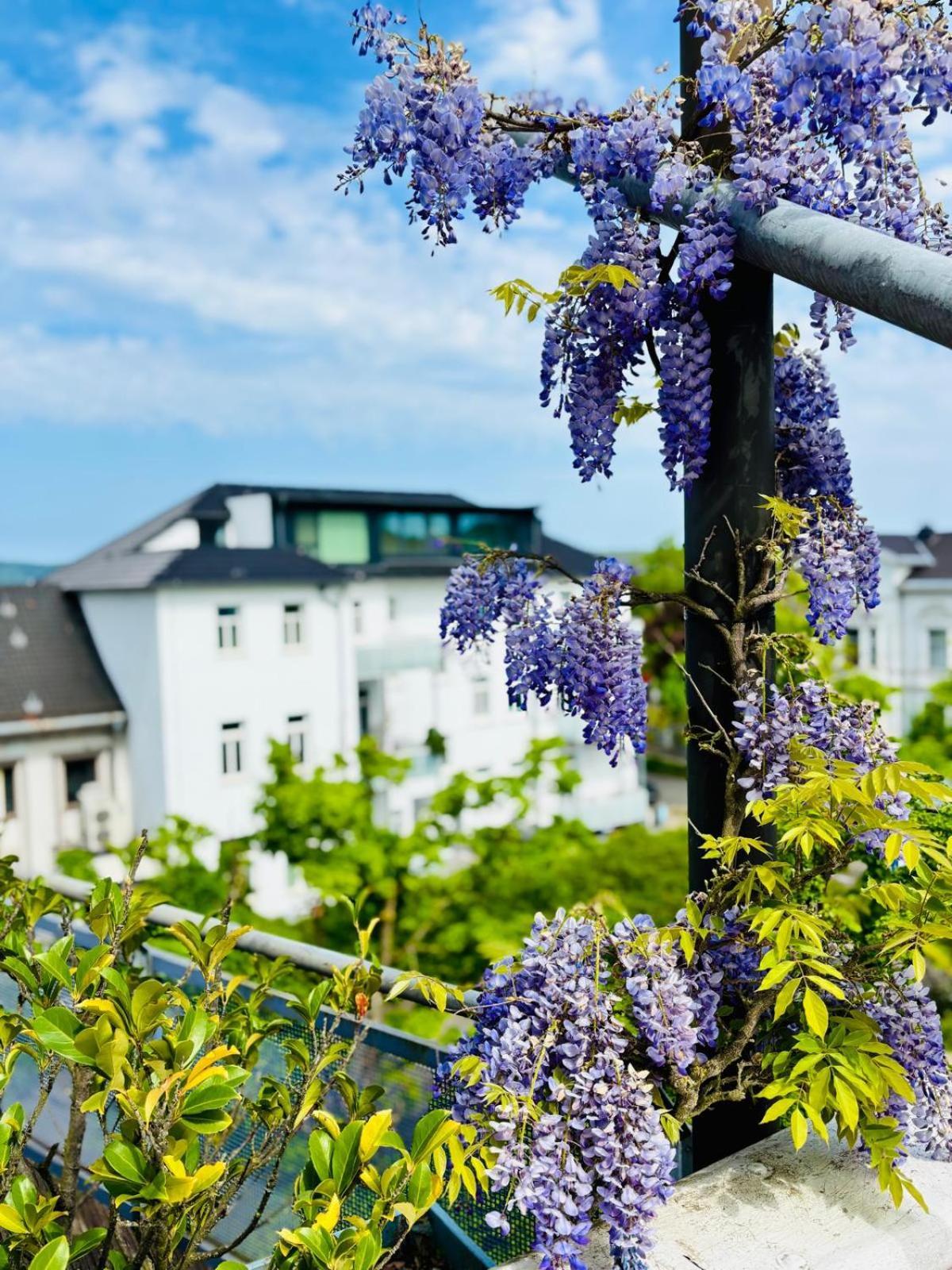 Pension Am Sueltebrunnen Bad Oeynhausen Eksteriør bilde